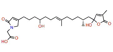 Cacolide K